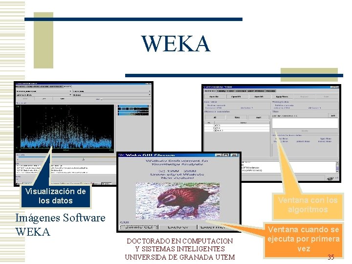 WEKA Visualización de los datos Imágenes Software WEKA Ventana con los algoritmos DOCTORADO EN