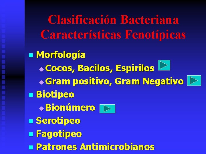 Clasificación Bacteriana Características Fenotípicas Morfología u Cocos, Bacilos, Espirilos u Gram positivo, Gram Negativo