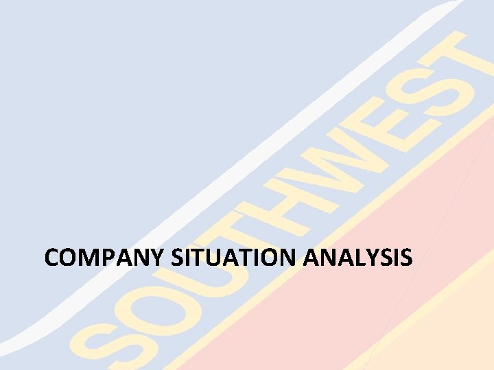 COMPANY SITUATION ANALYSIS 