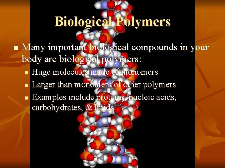 Biological Polymers n Many important biological compounds in your body are biological polymers: n