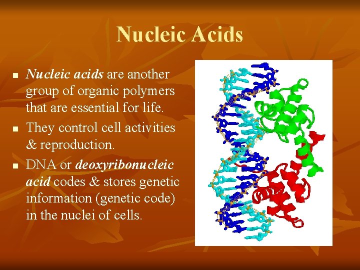 Nucleic Acids n n n Nucleic acids are another group of organic polymers that