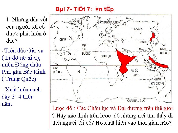 Bµi 7 TiÕt 7: ¤n tËp 1. Những dấu vết của người tối cổ