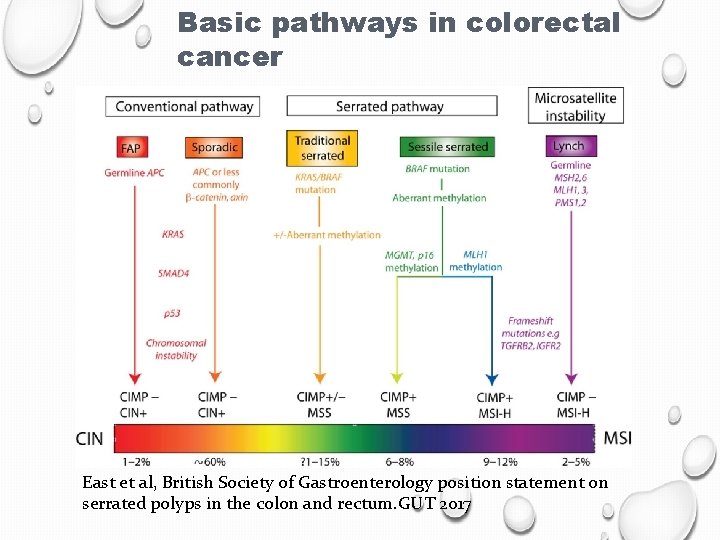 Basic pathways in colorectal cancer East et al, British Society of Gastroenterology position statement