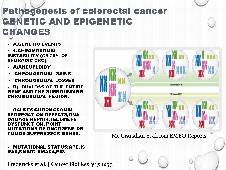 Pathogenesis of colorectal cancer GENETIC AND EPIGENETIC CHANGES • A. GENETIC EVENTS • 1.