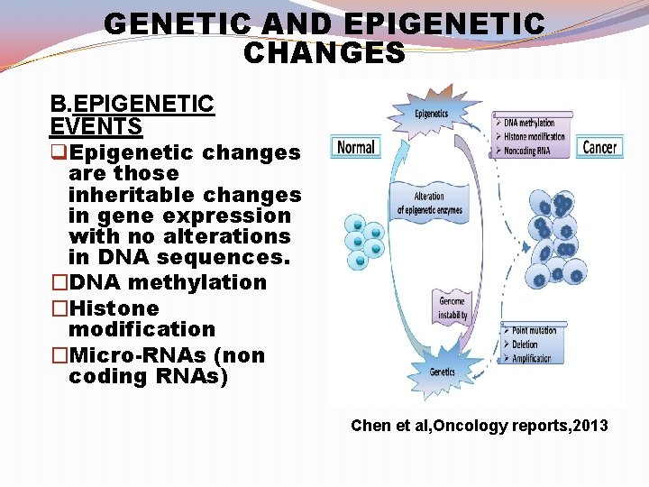 GENETIC AND EPIGENETIC CHANGES B. EPIGENETIC EVENTS q Epigenetic changes are those inheritable changes