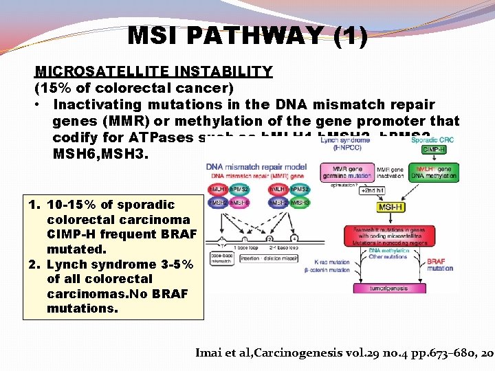 MSI PATHWAY (1) MICROSATELLITE INSTABILITY (15% of colorectal cancer) • Inactivating mutations in the