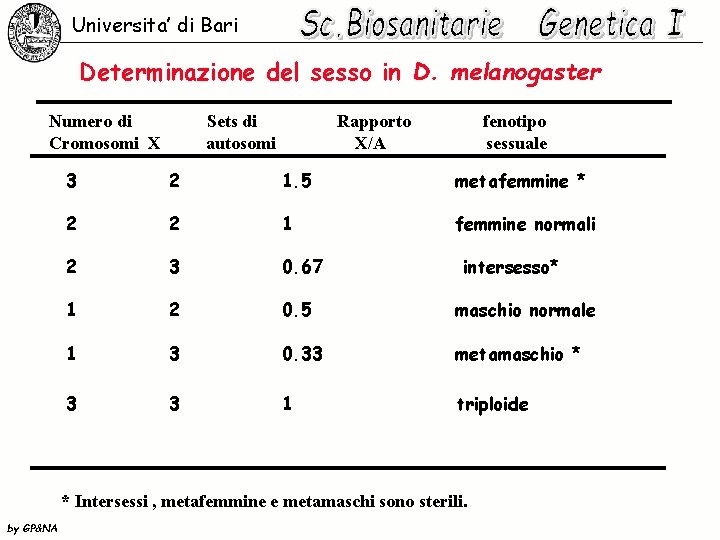 Universita’ di Bari Determinazione del sesso in D. melanogaster Numero di Cromosomi X Sets