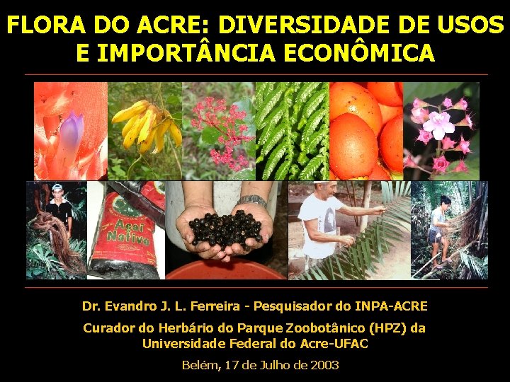 FLORA DO ACRE: DIVERSIDADE DE USOS E IMPORT NCIA ECONÔMICA Dr. Evandro J. L.