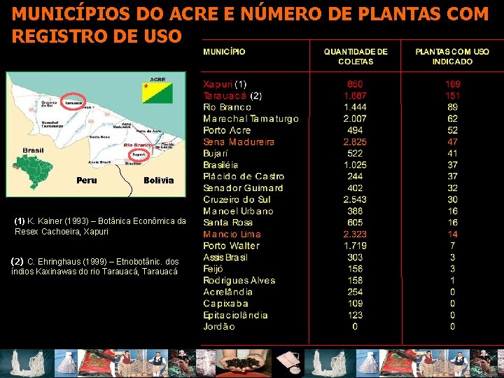 MUNICÍPIOS DO ACRE E NÚMERO DE PLANTAS COM REGISTRO DE USO Peru Bolivia (1)