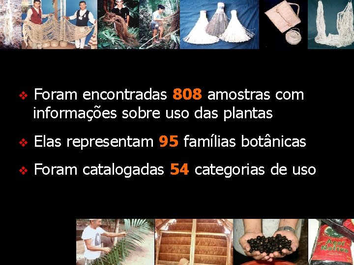 v Foram encontradas 808 amostras com informações sobre uso das plantas v Elas representam