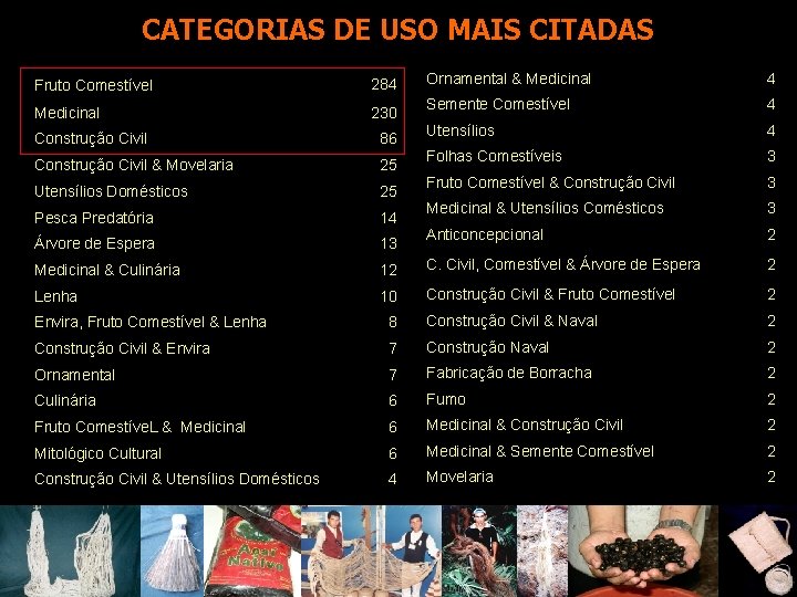 CATEGORIAS DE USO MAIS CITADAS Fruto Comestível 284 Medicinal 230 Ornamental & Medicinal 4