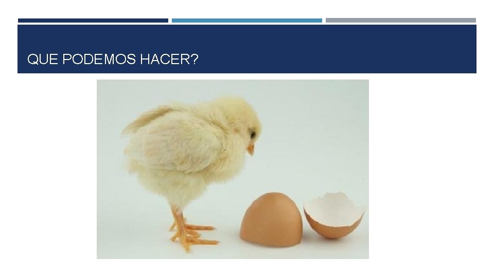 QUE PODEMOS HACER? 