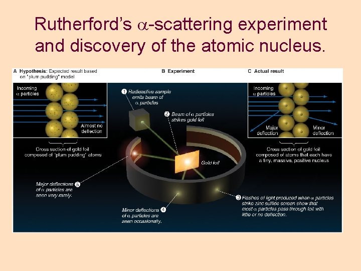 Rutherford’s a-scattering experiment and discovery of the atomic nucleus. Rutherford’s a-scattering experiment and discovery of the atomic nucleus.
