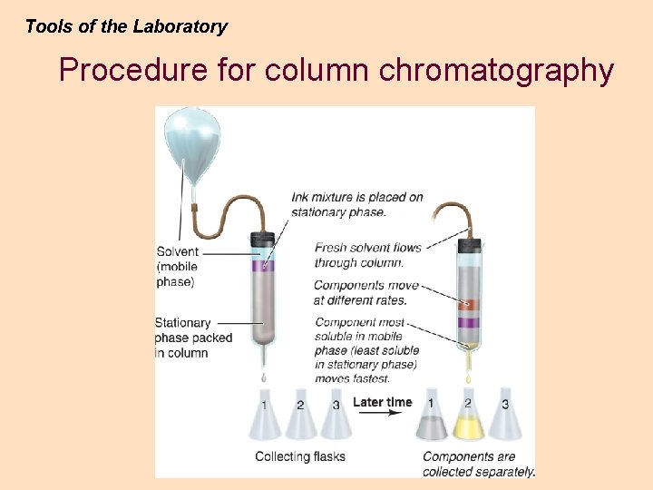 Tools of the Laboratory Procedure for column chromatography Tools of the Laboratory Procedure for column chromatography