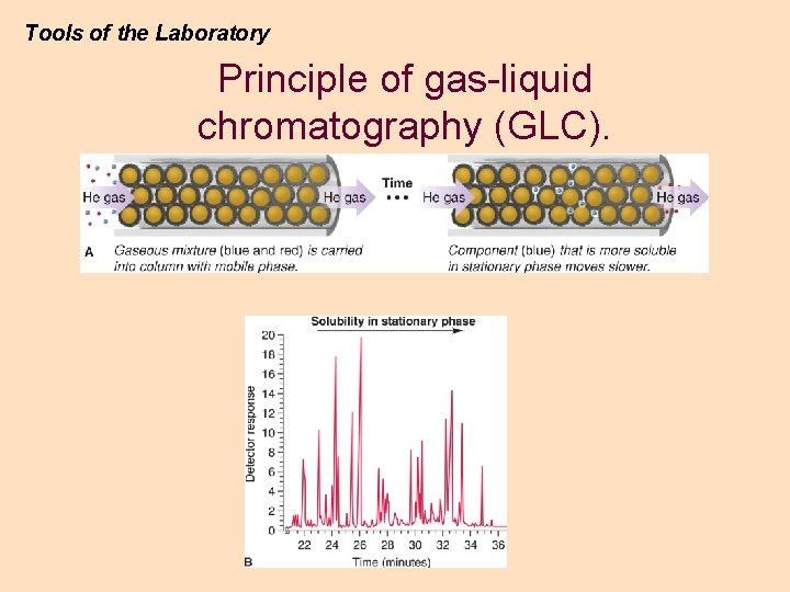Tools of the Laboratory Principle of gas-liquid chromatography (GLC). Tools of the Laboratory Principle of gas-liquid chromatography (GLC).