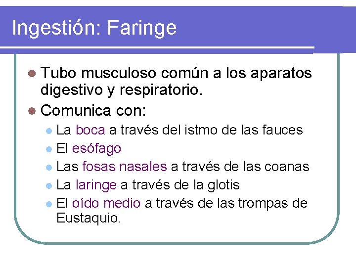 Ingestión: Faringe l Tubo musculoso común a los aparatos digestivo y respiratorio. l Comunica Ingestión: Faringe l Tubo musculoso común a los aparatos digestivo y respiratorio. l Comunica