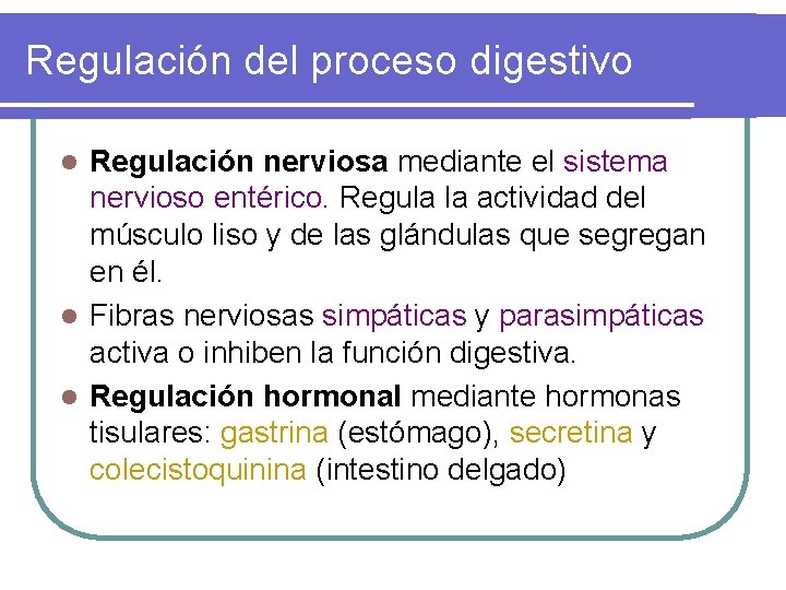 Regulación del proceso digestivo Regulación nerviosa mediante el sistema nervioso entérico. Regula la actividad Regulación del proceso digestivo Regulación nerviosa mediante el sistema nervioso entérico. Regula la actividad