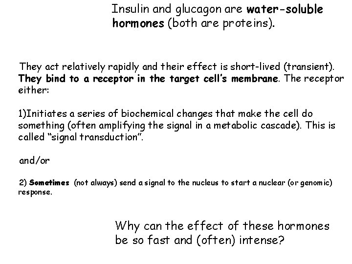Insulin and glucagon are water-soluble hormones (both are proteins). They act relatively rapidly and