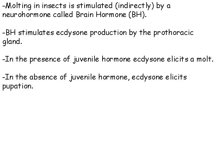 -Molting in insects is stimulated (indirectly) by a neurohormone called Brain Hormone (BH). -BH