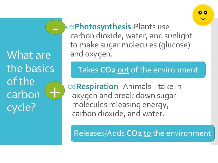 What are the basics of the carbon cycle? + Photosynthesis-Plants use carbon dioxide, water,