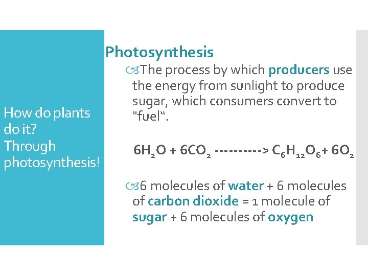 Photosynthesis How do plants do it? Through photosynthesis! The process by which producers use