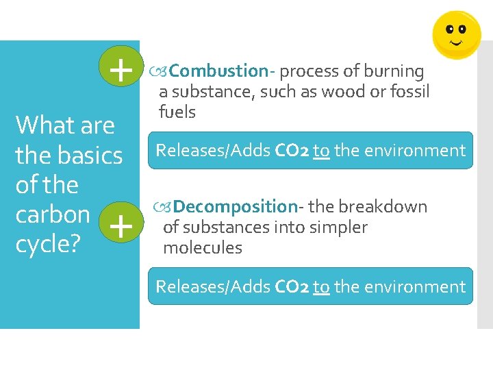 + What are the basics of the carbon cycle? + Combustion- process of burning