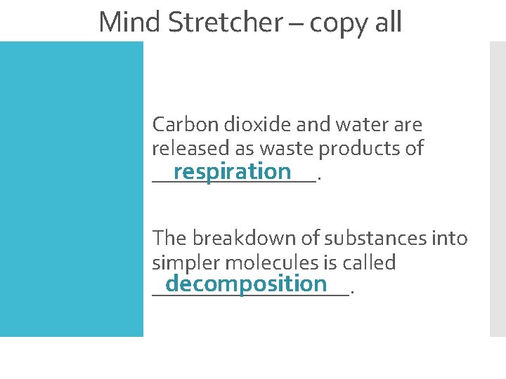 Mind Stretcher – copy all 1. Carbon dioxide and water are released as waste