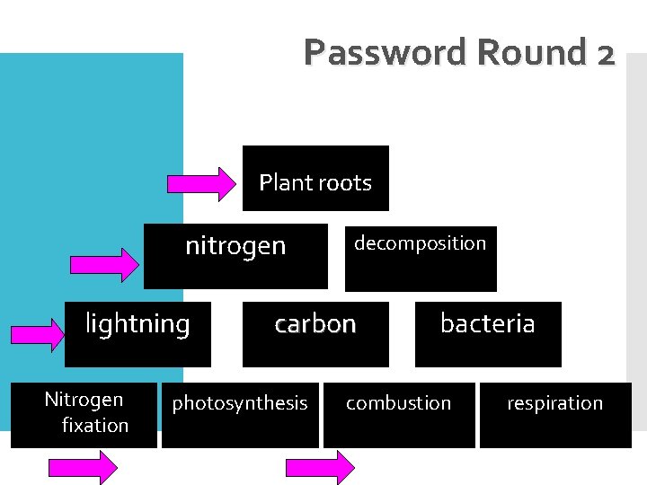 Password Round 2 Plant roots nitrogen lightning Nitrogen fixation decomposition carbon photosynthesis bacteria combustion