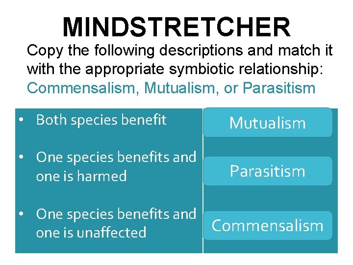 MINDSTRETCHER Copy the following descriptions and match it with the appropriate symbiotic relationship: Commensalism,