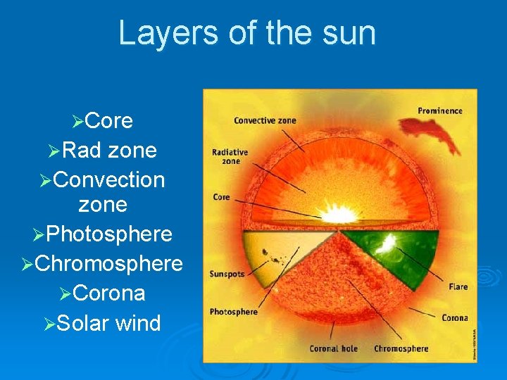 Layers of the sun ØCore ØRad zone ØConvection zone ØPhotosphere ØChromosphere ØCorona ØSolar wind