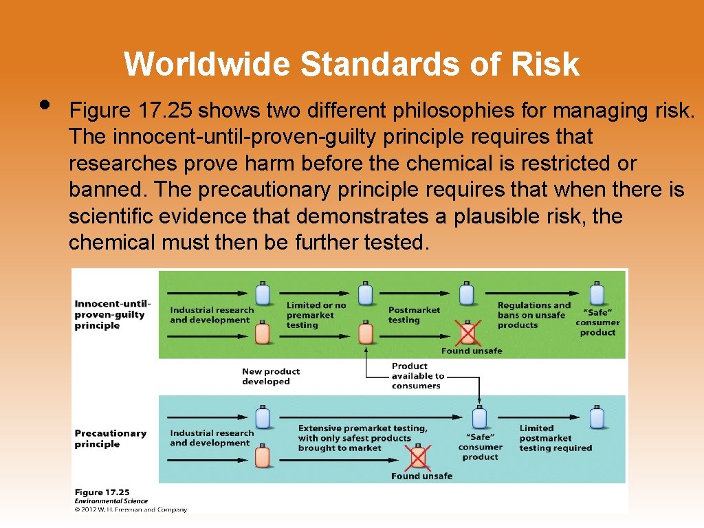 Worldwide Standards of Risk • Figure 17. 25 shows two different philosophies for managing