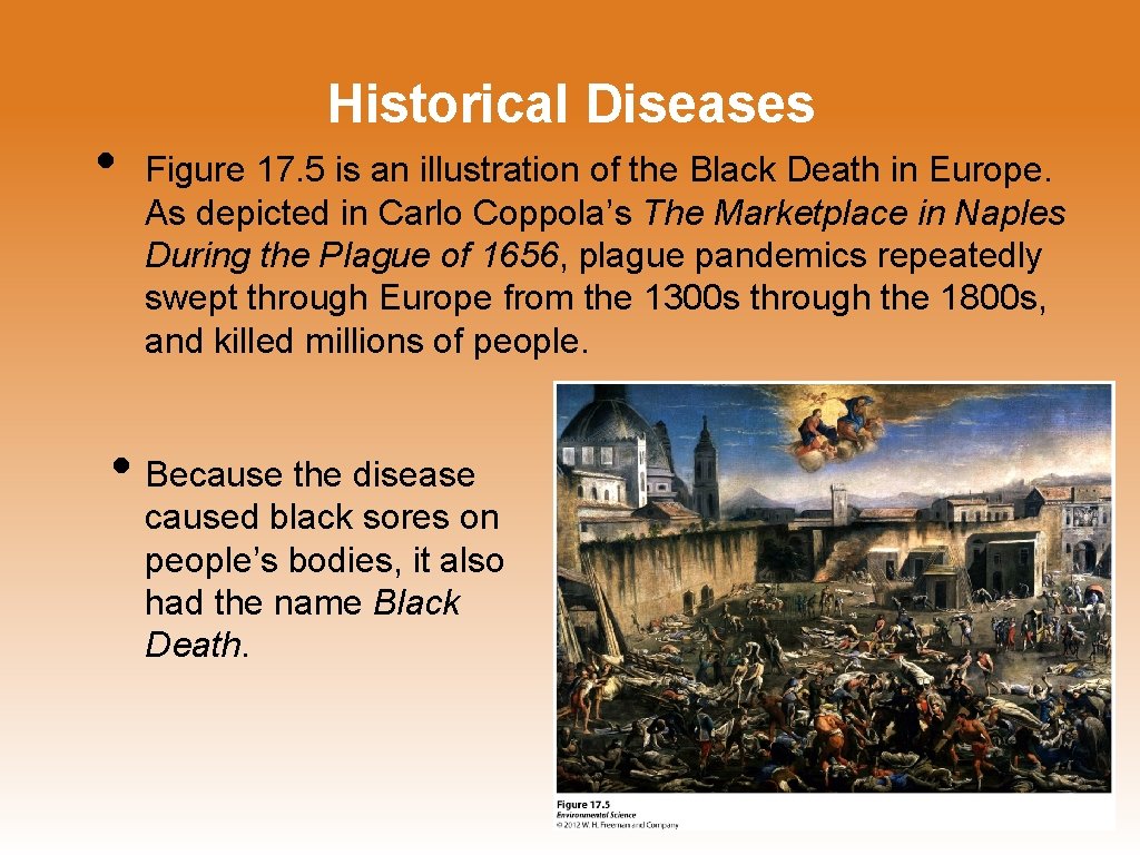  • Historical Diseases Figure 17. 5 is an illustration of the Black Death