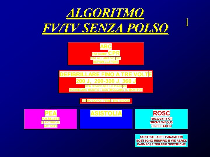 ALGORITMO FV/TV SENZA POLSO 1 