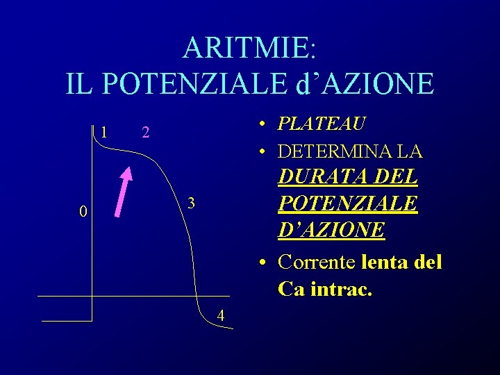 ARITMIE: IL POTENZIALE d’AZIONE 1 0 • PLATEAU • DETERMINA LA 2 DURATA DEL