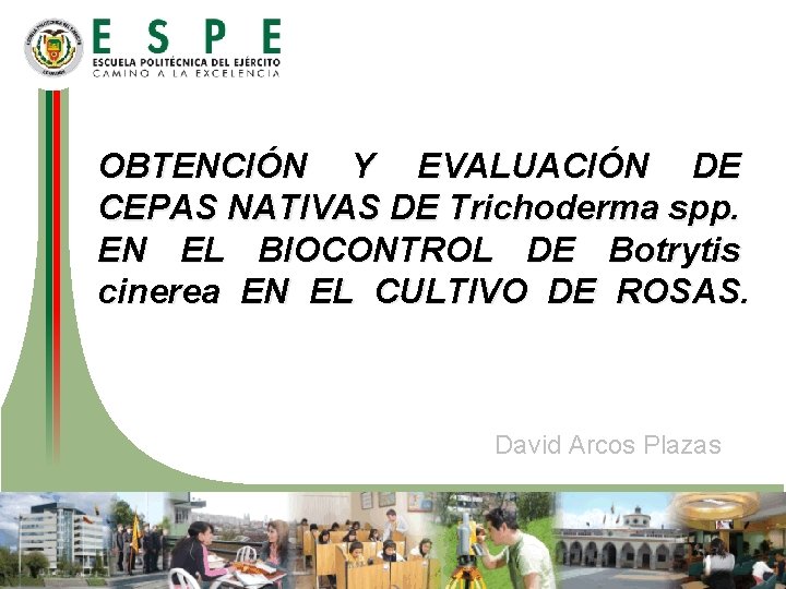OBTENCIÓN Y EVALUACIÓN DE CEPAS NATIVAS DE Trichoderma spp. EN EL BIOCONTROL DE Botrytis