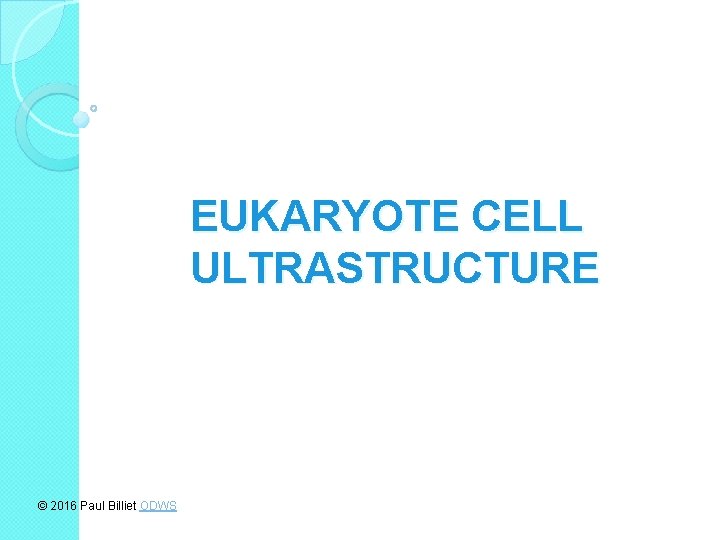 EUKARYOTE CELL ULTRASTRUCTURE © 2016 Paul Billiet ODWS 
