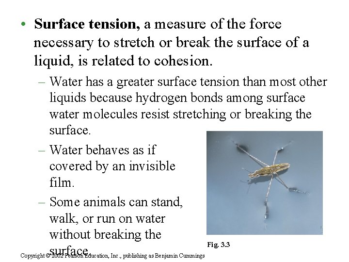  • Surface tension, a measure of the force necessary to stretch or break