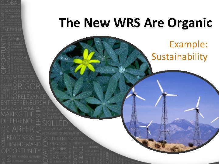 The New WRS Are Organic Example: Sustainability 