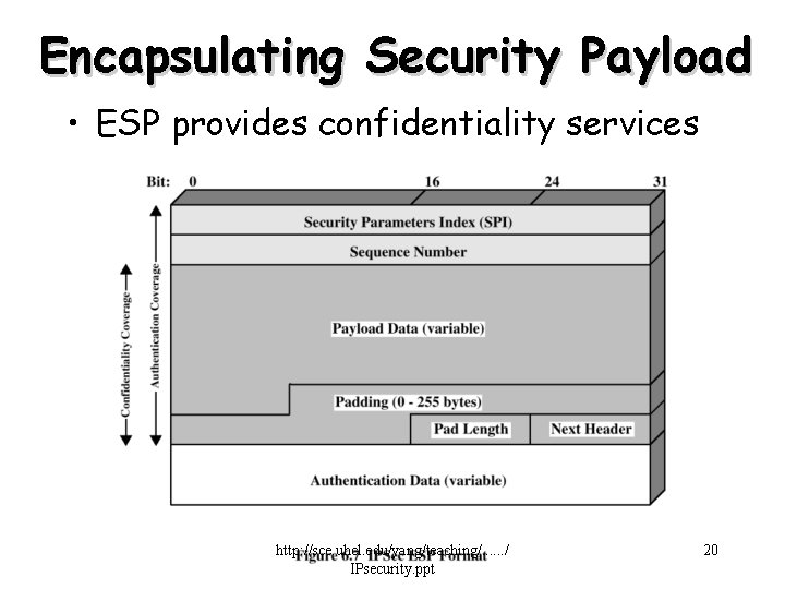 Encapsulating Security Payload • ESP provides confidentiality services http: //sce. uhcl. edu/yang/teaching/. . .