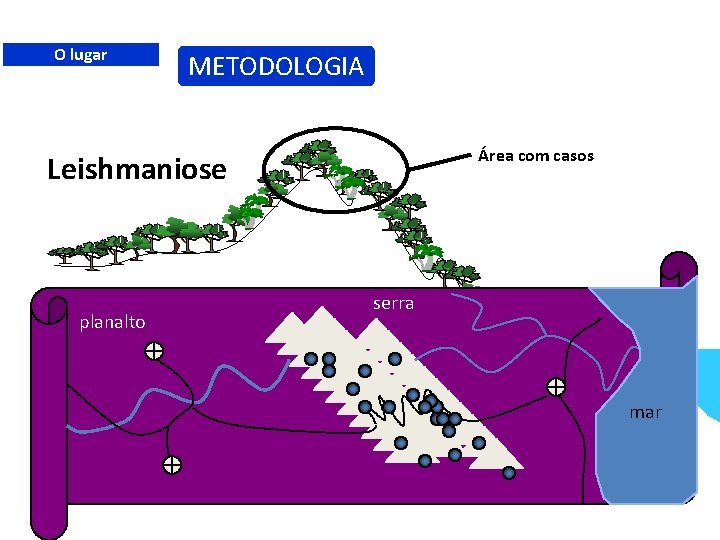 O lugar METODOLOGIA Área com casos Leishmaniose planalto serra mar 