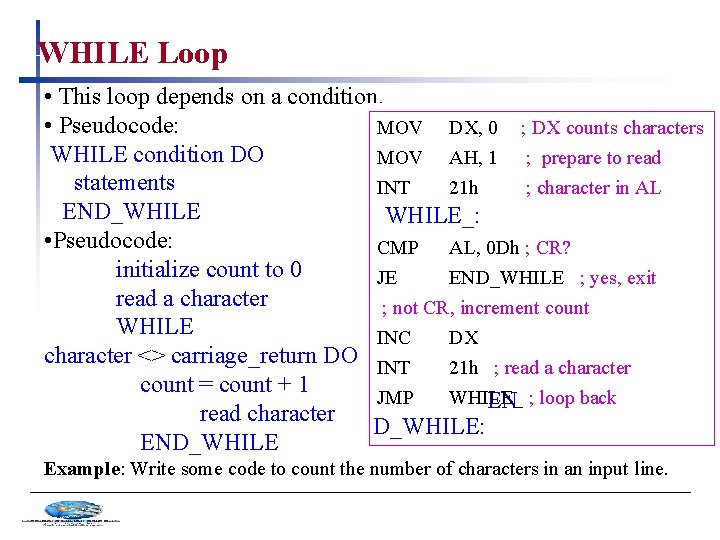 WHILE Loop • This loop depends on a condition. • Pseudocode: MOV DX, 0