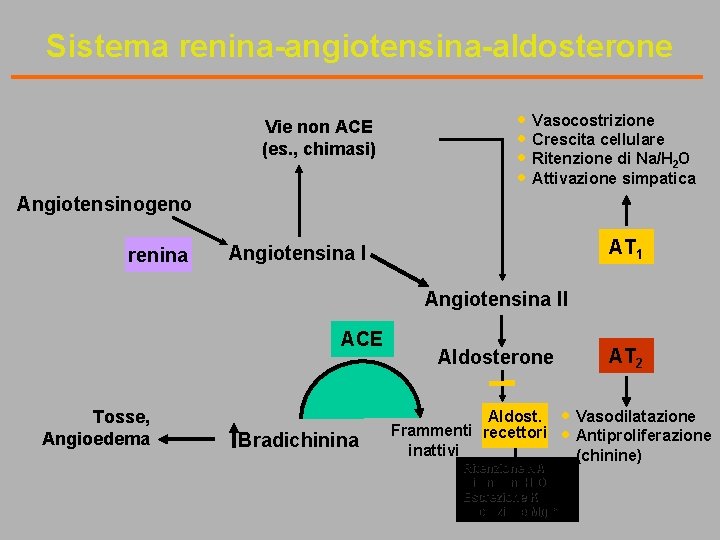 Sistema renina-angiotensina-aldosterone Vie non ACE (es. , chimasi) · Vasocostrizione · Crescita cellulare ·