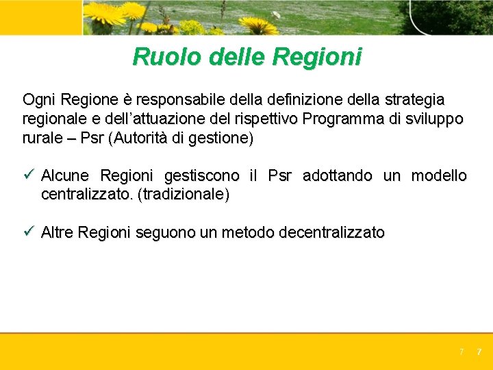 Ruolo delle Regioni Ogni Regione è responsabile della definizione della strategia regionale e dell’attuazione