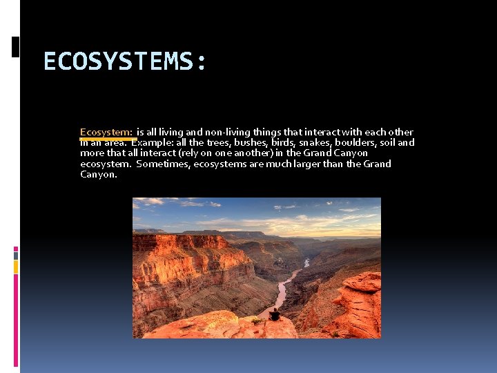 ECOSYSTEMS: Ecosystem: is all living and non-living things that interact with each other in