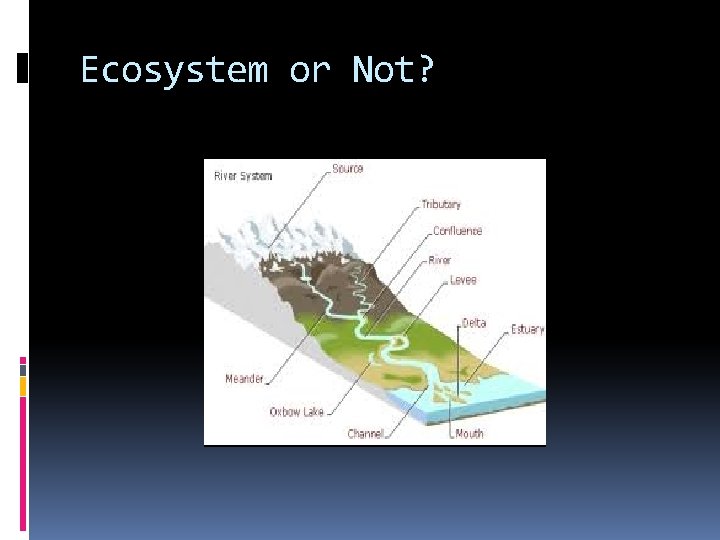 Ecosystem or Not? 