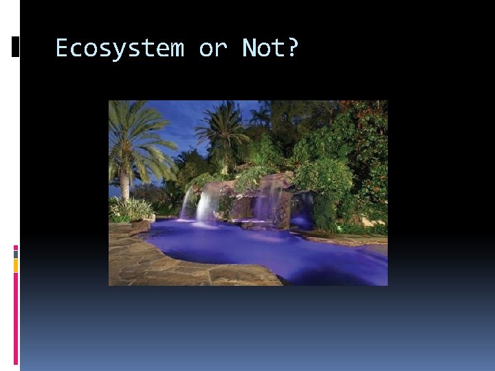 Ecosystem or Not? 