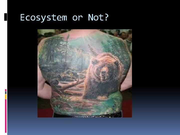 Ecosystem or Not? 