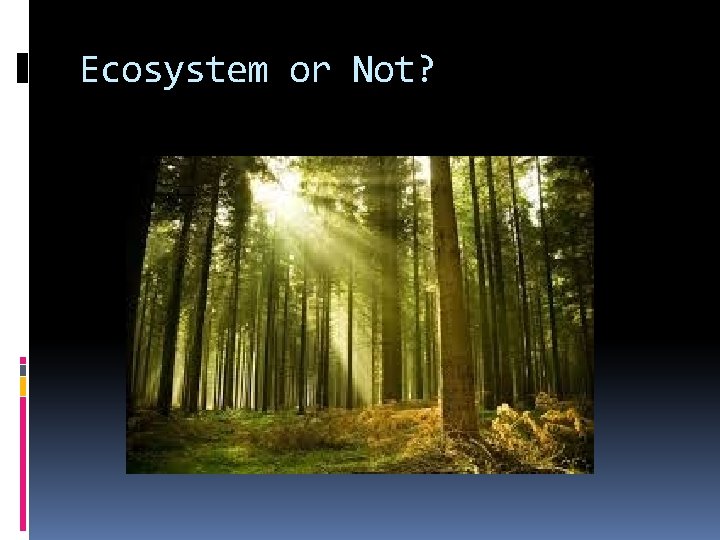 Ecosystem or Not? 