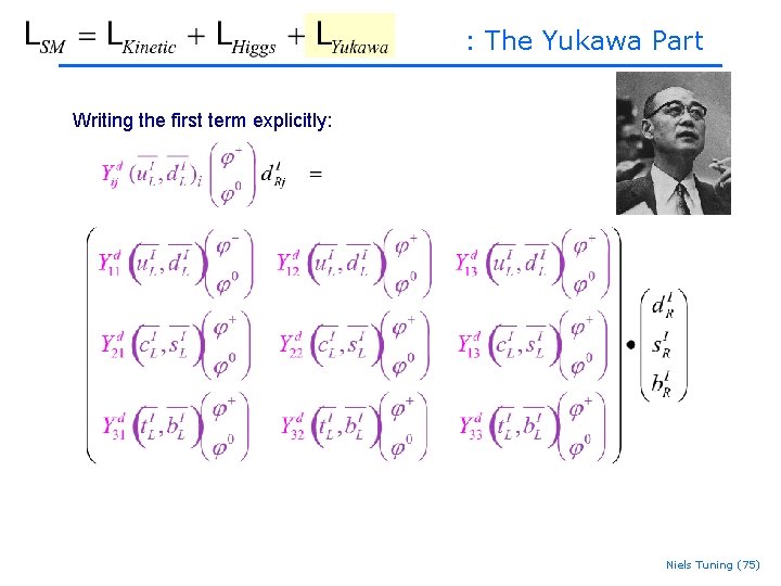 : The Yukawa Part Writing the first term explicitly: Niels Tuning (75) : The Yukawa Part Writing the first term explicitly: Niels Tuning (75)