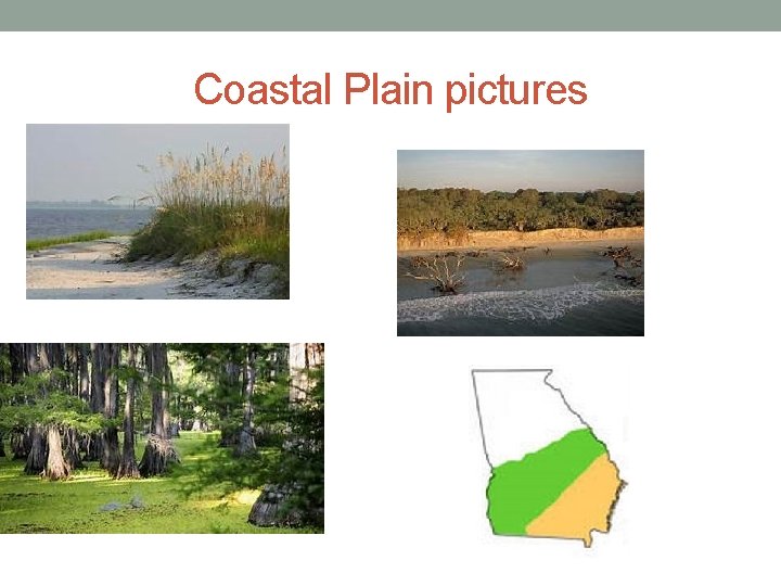 Coastal Plain pictures 